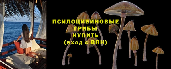 герыч Алексин