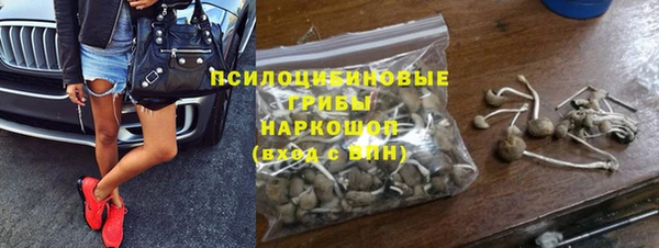 герыч Алексин