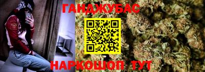 дмт Гудермес