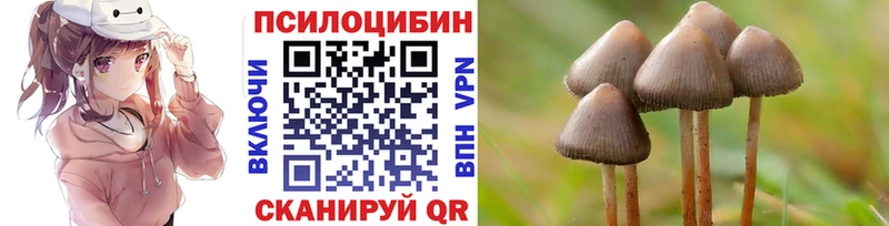 MEGA как зайти  Кинешма  Галлюциногенные грибы Psilocybine cubensis  где найти наркотики 